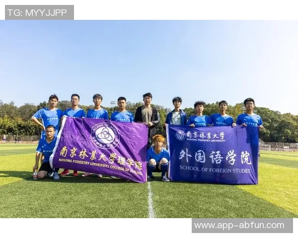 波兰足球规则详解与比赛策略分析助你了解足球魅力